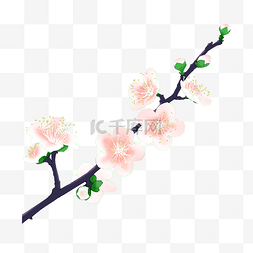 粉色花朵花枝插画