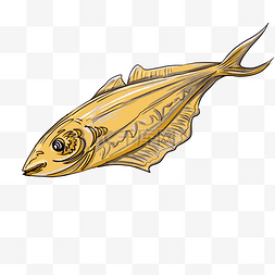 海洋动物灰鱼插画