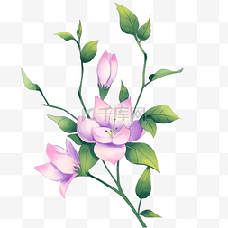 茉莉花手绘图片_手绘茉莉花