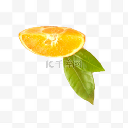甜橙叶子图片_一瓣甜橙