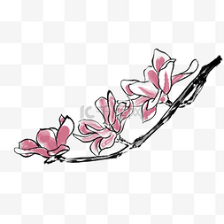 中国风水墨植物木兰花