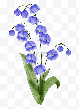 紫色的小花装饰插画