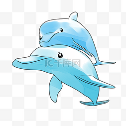 跳跃海豚图片_蓝色跳跃海豚