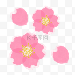 吹散的花瓣图片_粉色樱花装饰素材下载