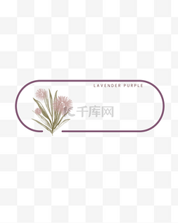 薰衣草紫色花标题边框
