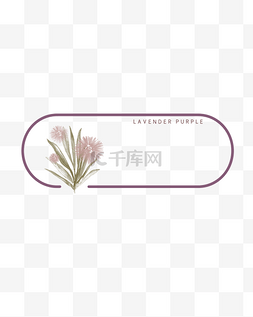 紫色花简约图片_薰衣草紫色花标题边框