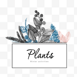 手绘松果PNG图片_创意素描手绘植物