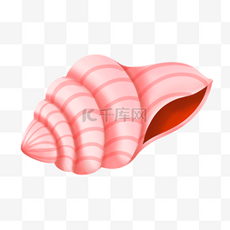 贝壳图案图片_卡通手绘可爱淡粉色海螺
