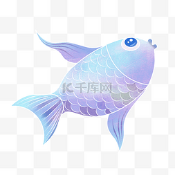 蓝紫色鱼