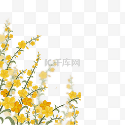 黄色春天图片_黄色迎春花