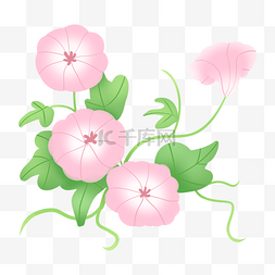 粉色盛开小花