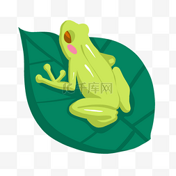 可爱绿色青蛙图片_可爱绿色青蛙