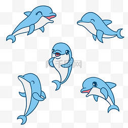 幼崽海豚
