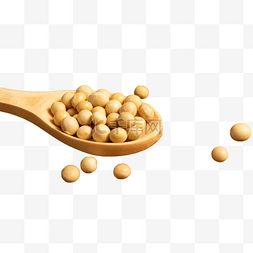 黄豆焖肉饭图片_五谷杂粮勺子里的黄豆食材