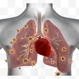 心新型图片_冠状病毒感染的肺部X射线3d元素