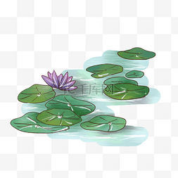 紫色花卉插画图片_幽美的荷花荷叶插画