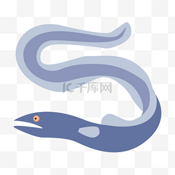 尖嘴鳗鱼图片_海鲜水产鳗鱼图标