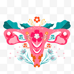 手绘女性器官健康花卉插画