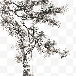 手绘松树免抠图片_苍劲的松树水墨画PNG免抠素材