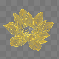 花朵金边图片_金箔线描荷花