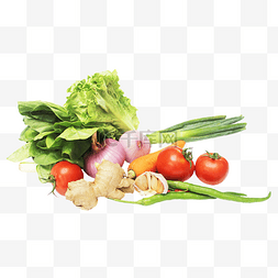 厨房蔬菜食材图片_生菜番茄辣椒洋葱大蒜萝卜