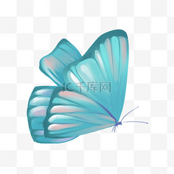 彩色飞翔的蝴蝶插画