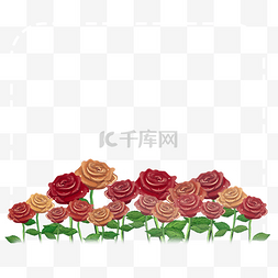 浪漫玫瑰花丛边框