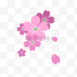 散落的花图片_春季粉色樱花