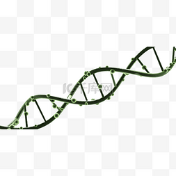 三维立体绿色图片_科学DNA绿色
