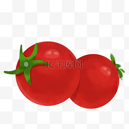小太阳实物图片_实物新鲜带藤水珠樱桃番茄