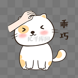 乖巧表情图片_小猫乖巧表情包