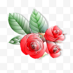 玫瑰花朵组合