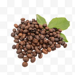 拍摄叶子图片_炒熟的咖啡豆