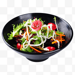 沙拉轻食logo图片_彩色沙拉