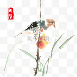 水彩手绘小鸟图片_大暑啄食水果的小鸟