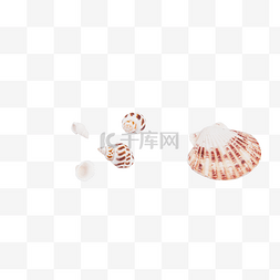 北欧花纹图片_花纹海螺组合