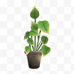 卡通小装饰海报图片_一盆绿色的植物