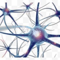 神经元结构图片_神经元细胞3d元素