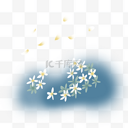 白色清新小花图片_小清新朦胧花卉