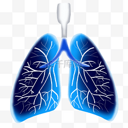 蓝色器官肺部