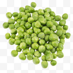 豌豆豆粒