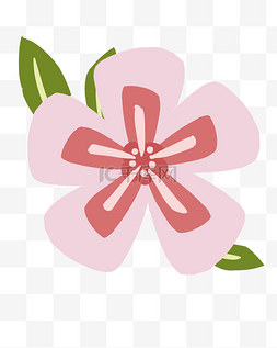 唯美的粉色花朵插画