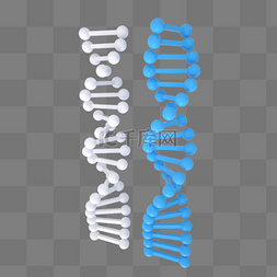 基因dna链图片_蓝色和白色螺旋分子