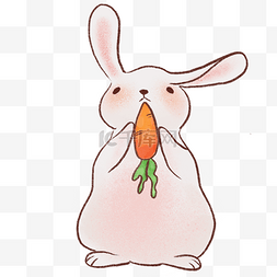 吃兔兔图片_吃胡萝卜的兔子