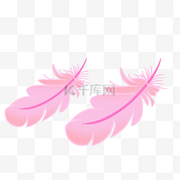 两根粉色羽毛