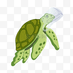 插画生物图片_绿色海龟动物插画