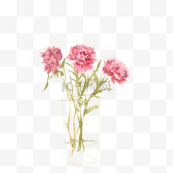 手绘花瓶中的花卉图片_粉色的花朵