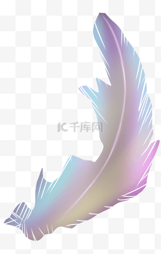 渐变图案羽毛设计