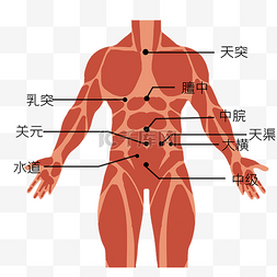 外用保健图片_人体经络穴位