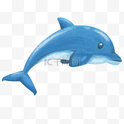海豚水图片_海洋生物海豚